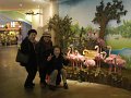 Jeju Tour 08